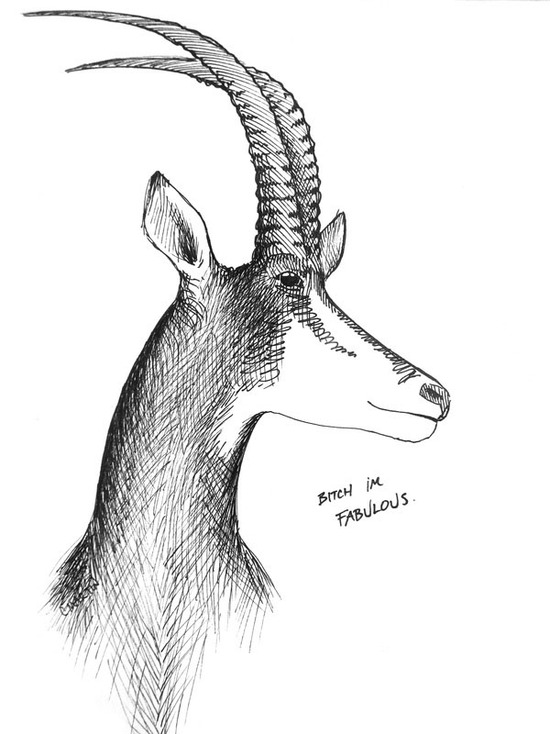 Carmen Martin Sketchbook: Sable antelope